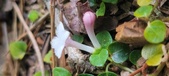 Enlarge photo 182
