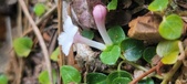 Enlarge photo 181