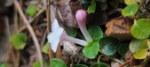 Enlarge photo 180