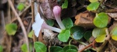 Enlarge photo 179