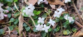 Enlarge photo 178