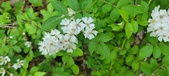 Enlarge photo 177