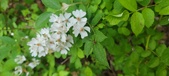 Enlarge photo 176