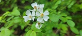 Enlarge photo 174