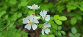 Enlarge photo 173