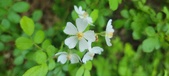 Enlarge photo 172