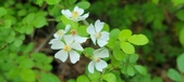 Enlarge photo 168