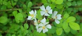 Enlarge photo 169