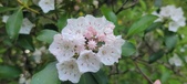 Enlarge photo 170