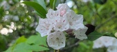 Enlarge photo 171