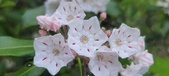 Enlarge photo 167