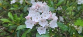 Enlarge photo 166