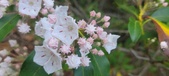 Enlarge photo 159