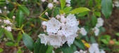 Enlarge photo 160