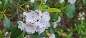 Enlarge photo 161