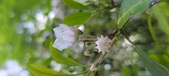 Enlarge photo 163