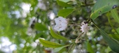 Enlarge photo 158