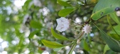 Enlarge photo 157
