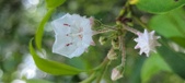 Enlarge photo 156