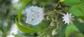 Enlarge photo 155