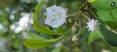 Enlarge photo 154