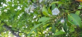 Enlarge photo 153