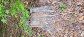 Enlarge photo 133
