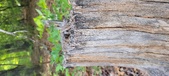 Enlarge photo 132