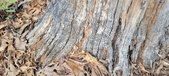 Enlarge photo 131