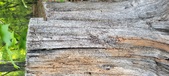 Enlarge photo 130