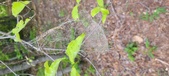 Enlarge photo 129