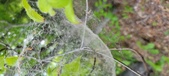 Enlarge photo 127