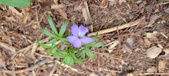 Enlarge photo 126