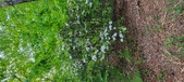 Enlarge photo 125