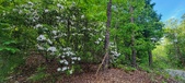 Enlarge photo 124