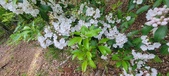 Enlarge photo 120