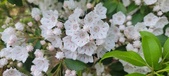 Enlarge photo 121