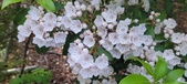 Enlarge photo 122
