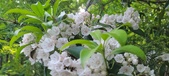 Enlarge photo 123