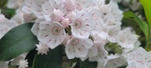 Enlarge photo 119