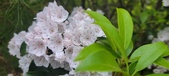 Enlarge photo 118