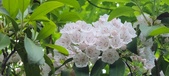 Enlarge photo 117
