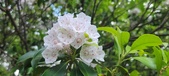 Enlarge photo 116