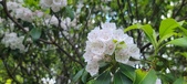 Enlarge photo 115