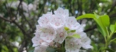 Enlarge photo 114