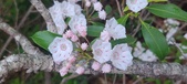 Enlarge photo 113