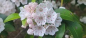 Enlarge photo 111