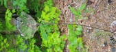 Enlarge photo 108