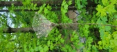 Enlarge photo 107
