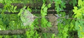 Enlarge photo 106